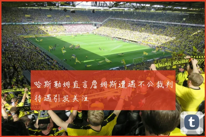 哈斯勒姆直言詹姆斯遭遇不公裁判待遇引发关注