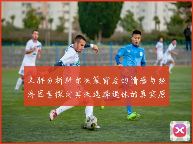 文胖分析科尔决策背后的情感与经济因素探讨其未选择退休的真实原因