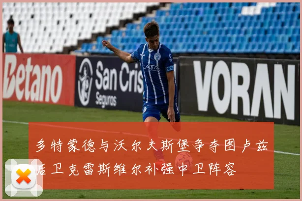 多特蒙德与沃尔夫斯堡争夺图卢兹后卫克雷斯维尔补强中卫阵容